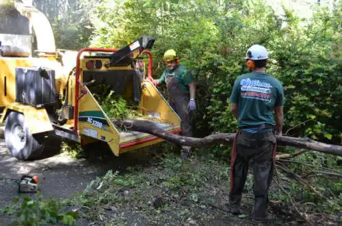 tree services Fowler